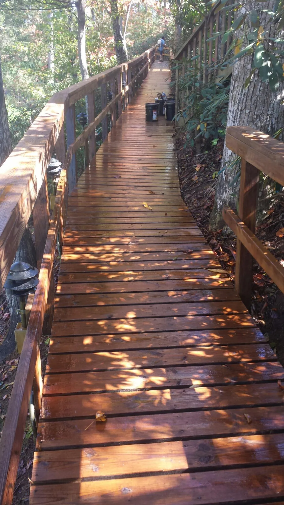 Freshly stained wood walkway winding through the woods in Northfield